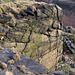 Hay Wood quarry cross bedding