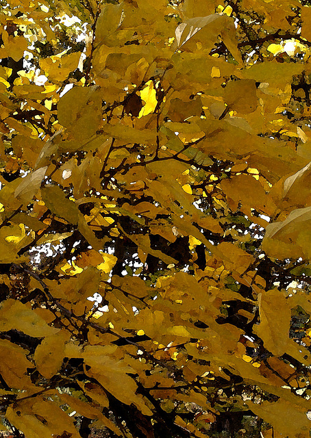 Watercolor Leaves