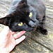 Oh he was so pleased to see me back - he even suffered having his photo taken, for a chin rub!!!