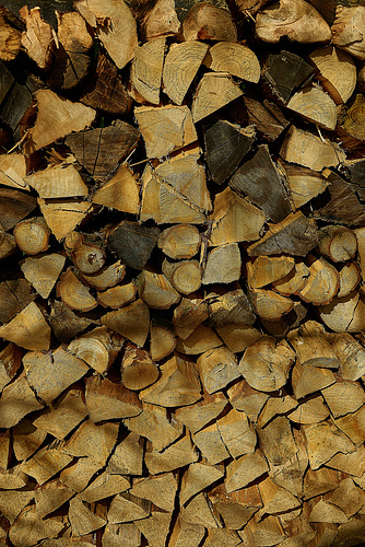 My Neighbours Woodpile