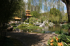 Chinese Garden Of Friendship