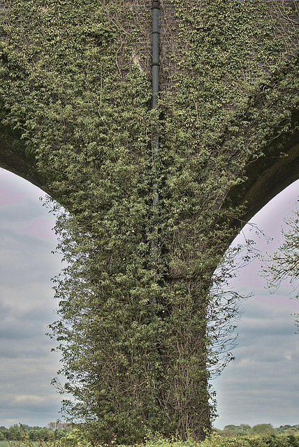 Old Viaduct
