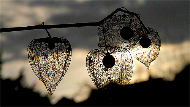 Eteindre les lampions