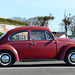 A Beetle at Stokes Bay (2) - 28 April 2016