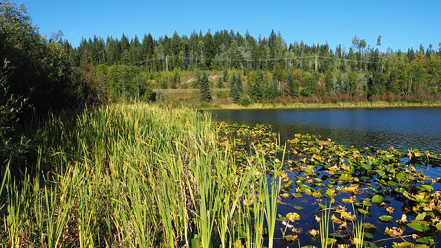 Hush Lake, BC