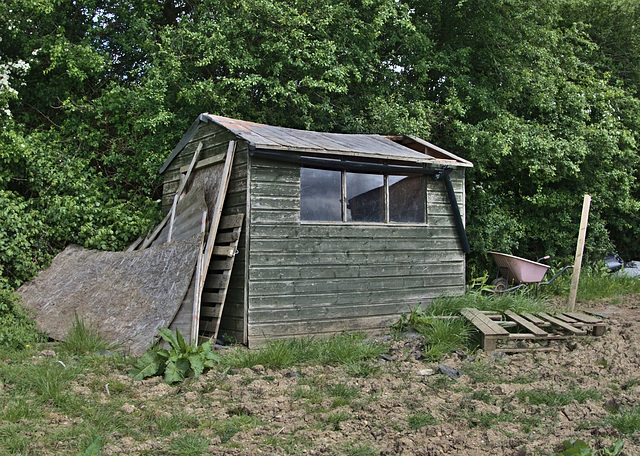 Rickety Old Shed