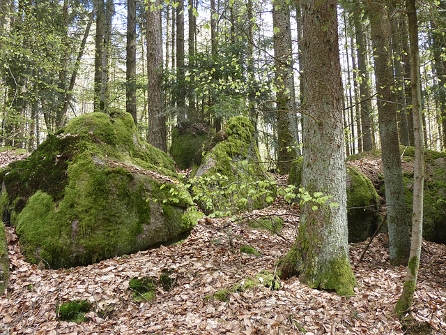 Felsen am Schwarzerberg