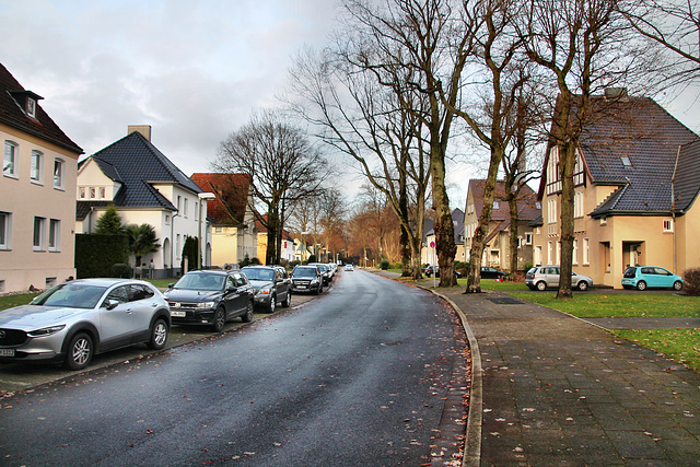 Schwedenstraße (Gelsenkirchen-Scholven) / 24.12.2022