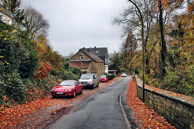 Parkweg (Witten) / 26.11.2023