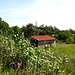 Agriculture implements shelter