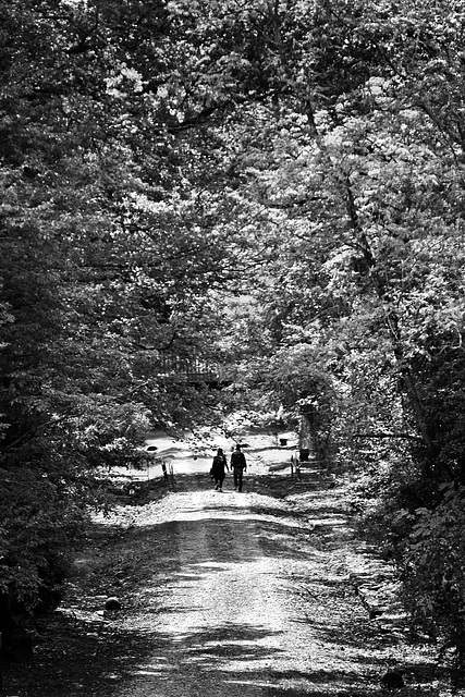 Tuscany 2015 Parco Mediceo di Pratolino 3  XPro1