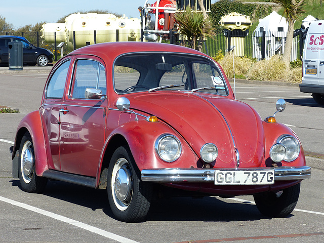 A Beetle at Stokes Bay (3) - 28 April 2016