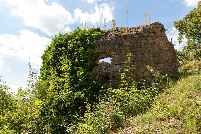 Burgruine Neideck