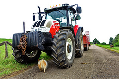 Rocco tractor