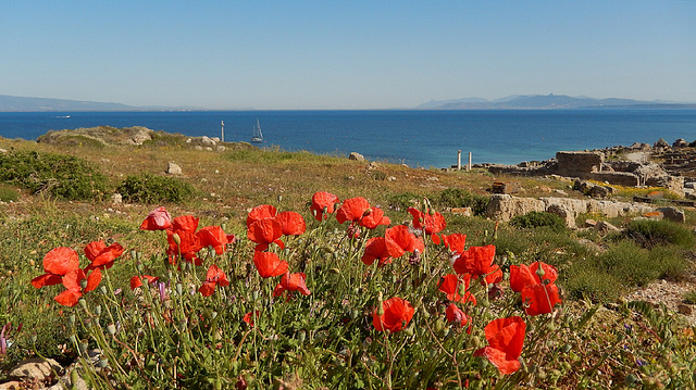 Sardegna - Tharros