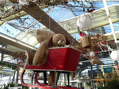 NOEL chez BOTANIC Quimper 2/3 NOEL chez BOTANIC Quimper 2/3
