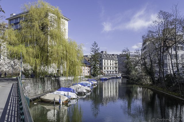 Zürich - Bärenbrüggli, Schanzengraben (© Buelipix)