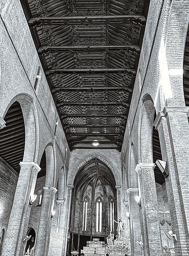 IMG 7089
