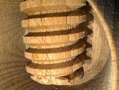 Macro Mondays: Thema "Nussknacker"