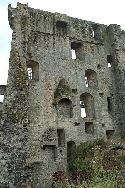 Logis seigneural - Château de Clisson