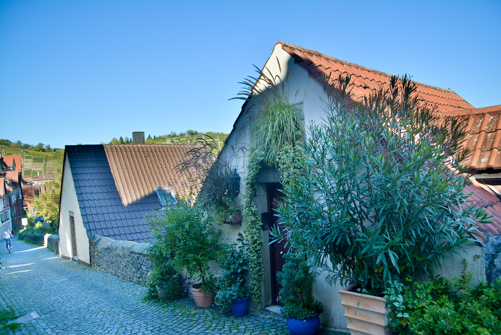 Besigheim