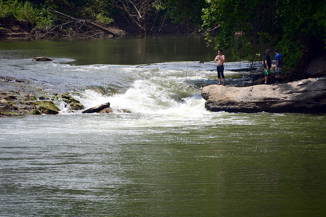 Fishing at White's Mill