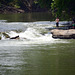 Fishing at White's Mill