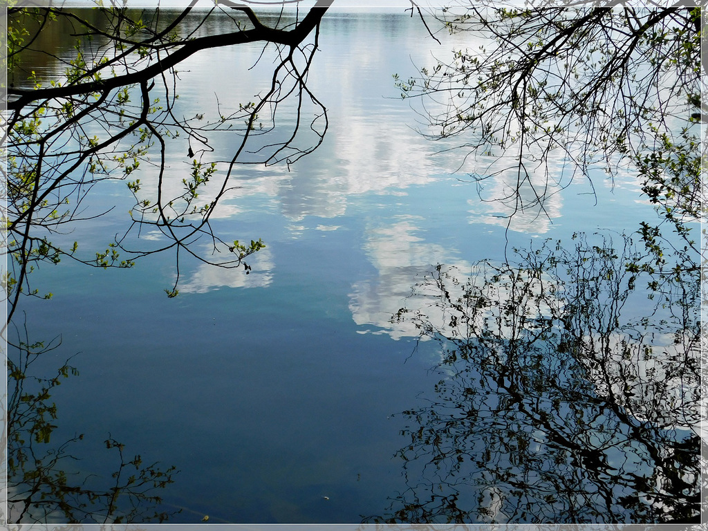 Reflets à l'étang de Bétineuc (22)
