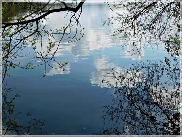 Reflets à l'étang de Bétineuc (22)