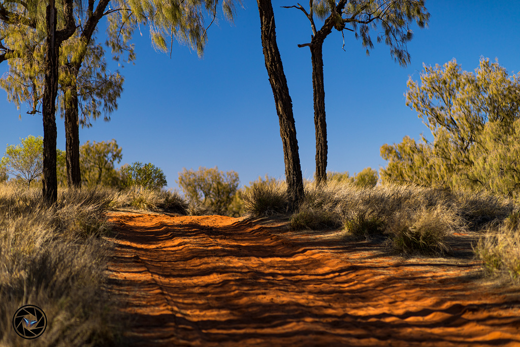 Luritja Rd.  -  Next to the street