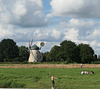 Die Fuhlener Mühle im Sonnenschein