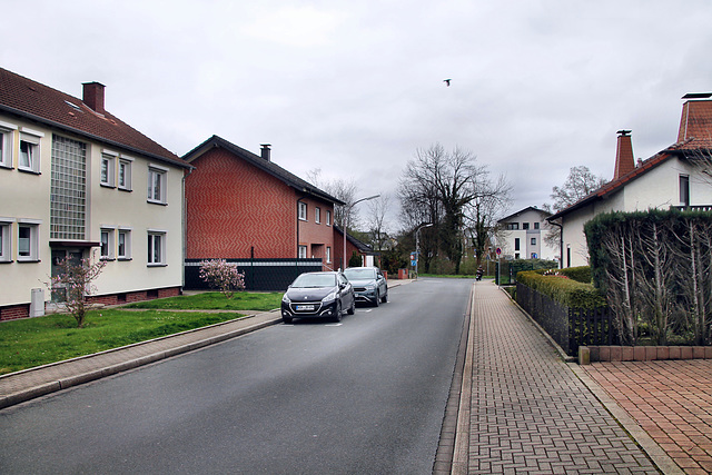 An der Feuermaschine (Unna-Königsborn) / 16.03.2024