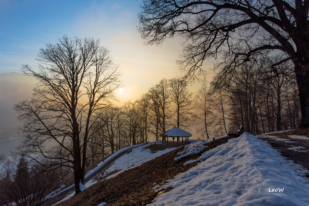 Misty sunset ++ nebliger Sonnenuntergang