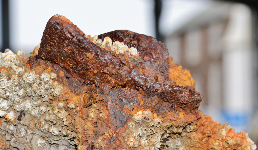 Rusty Crusty