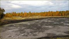 Automne au pied des terrils