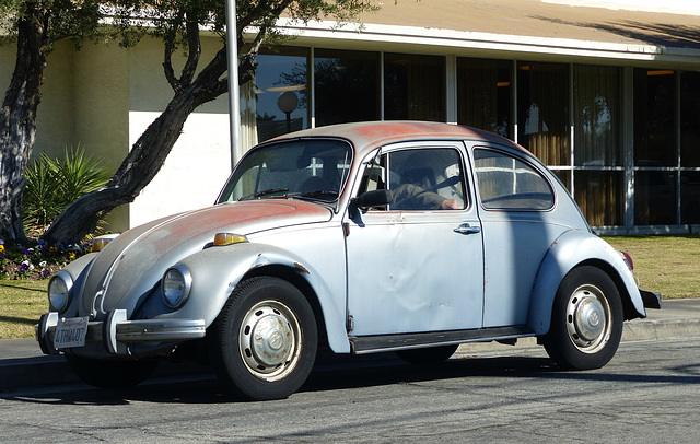 Palm Springs Beetle (2b) - 14 November 2015