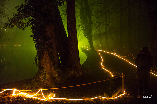 Nebel im Schlosspark ++ misty park night