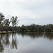 On The Swan River