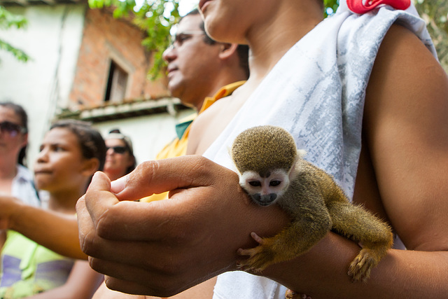 Amazonas-0630