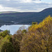 Longdendale from Wildboar Clough above the trees