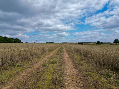 Staffordshire/Shropshire County line