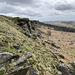 Stanage Edge view East