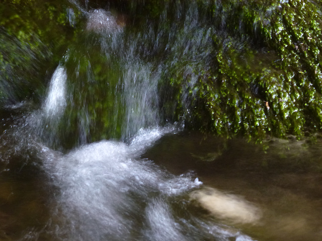 20150710 -15 Rando Spéléo St Pierre de Chartreuse (150)