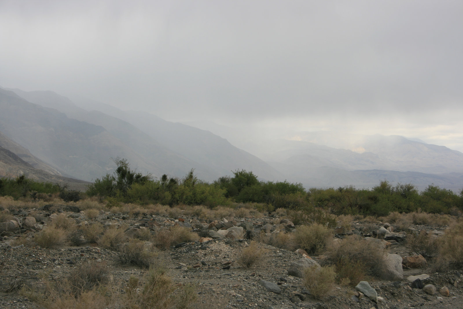 IMG 9986