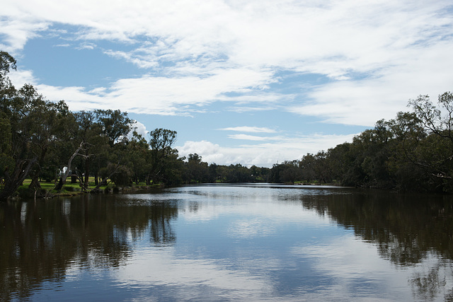 On The Swan River