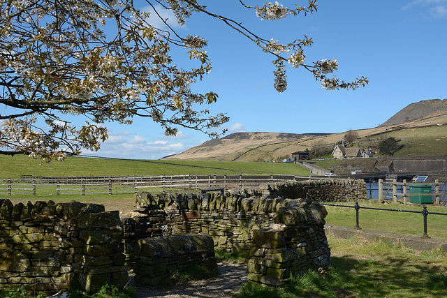 Springtime on the Longdendale Trail