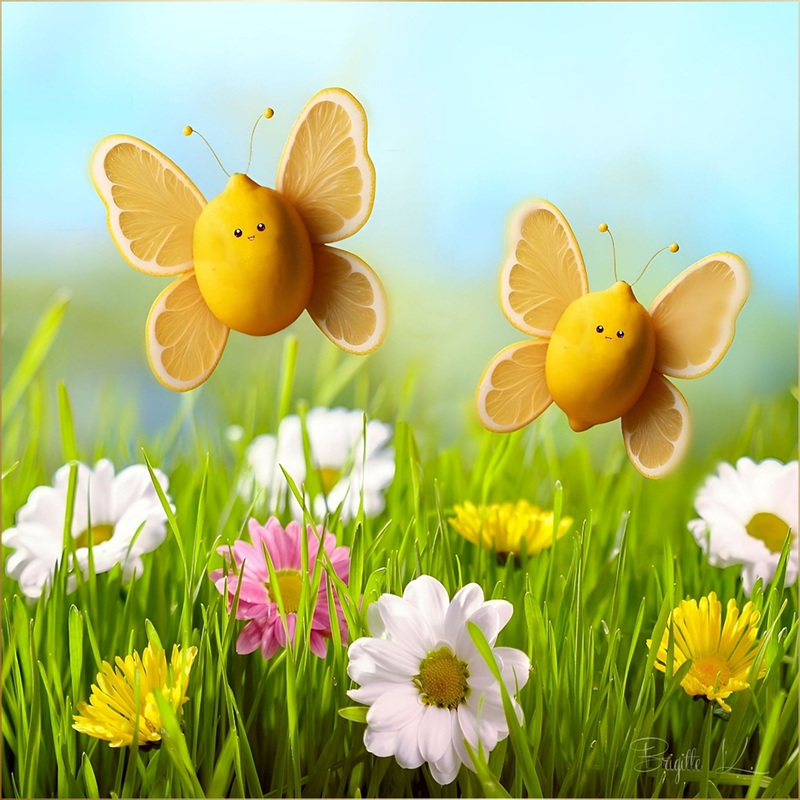 lemon butterflies ｡◕‿◕｡