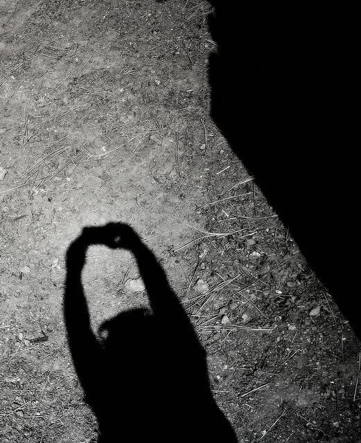 Shadow self