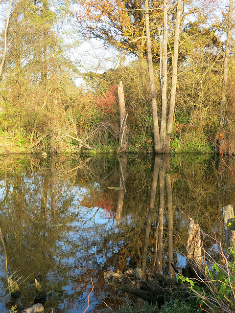 Du côté de Montrond-les-Bains (Loire)