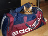 Ivanhoe in sports bag